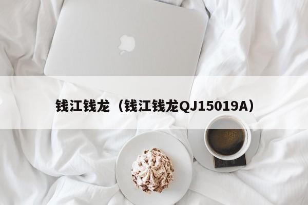 钱江钱龙（钱江钱龙QJ15019A）